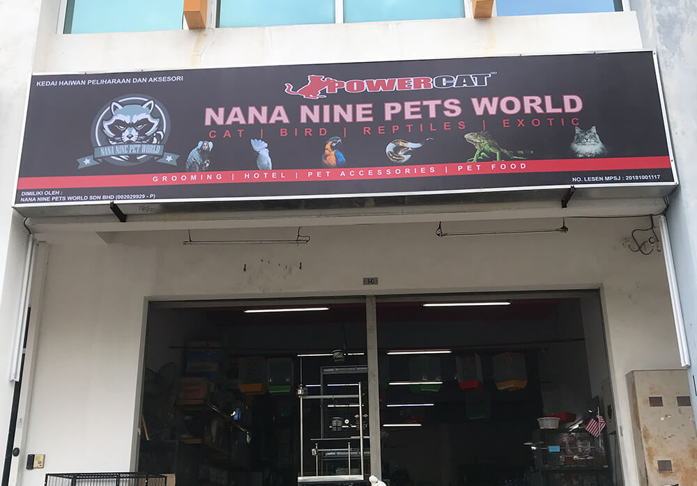 Nana Nine Pets World